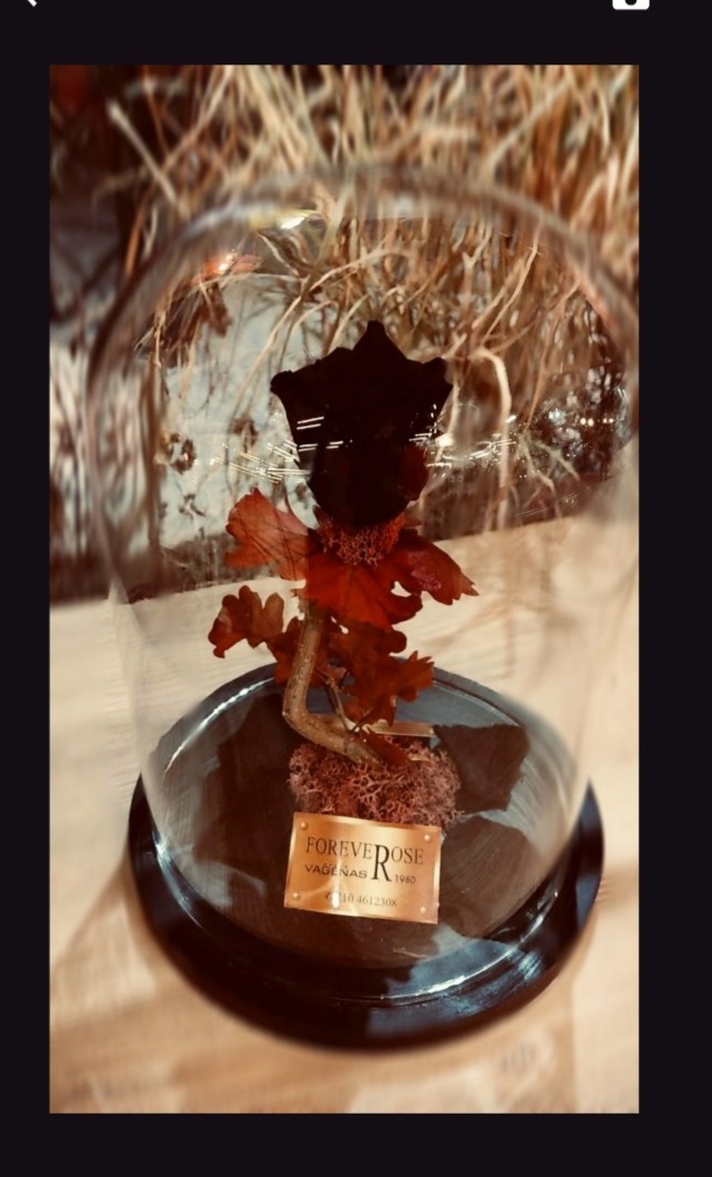 Forever Rose Μαύρο