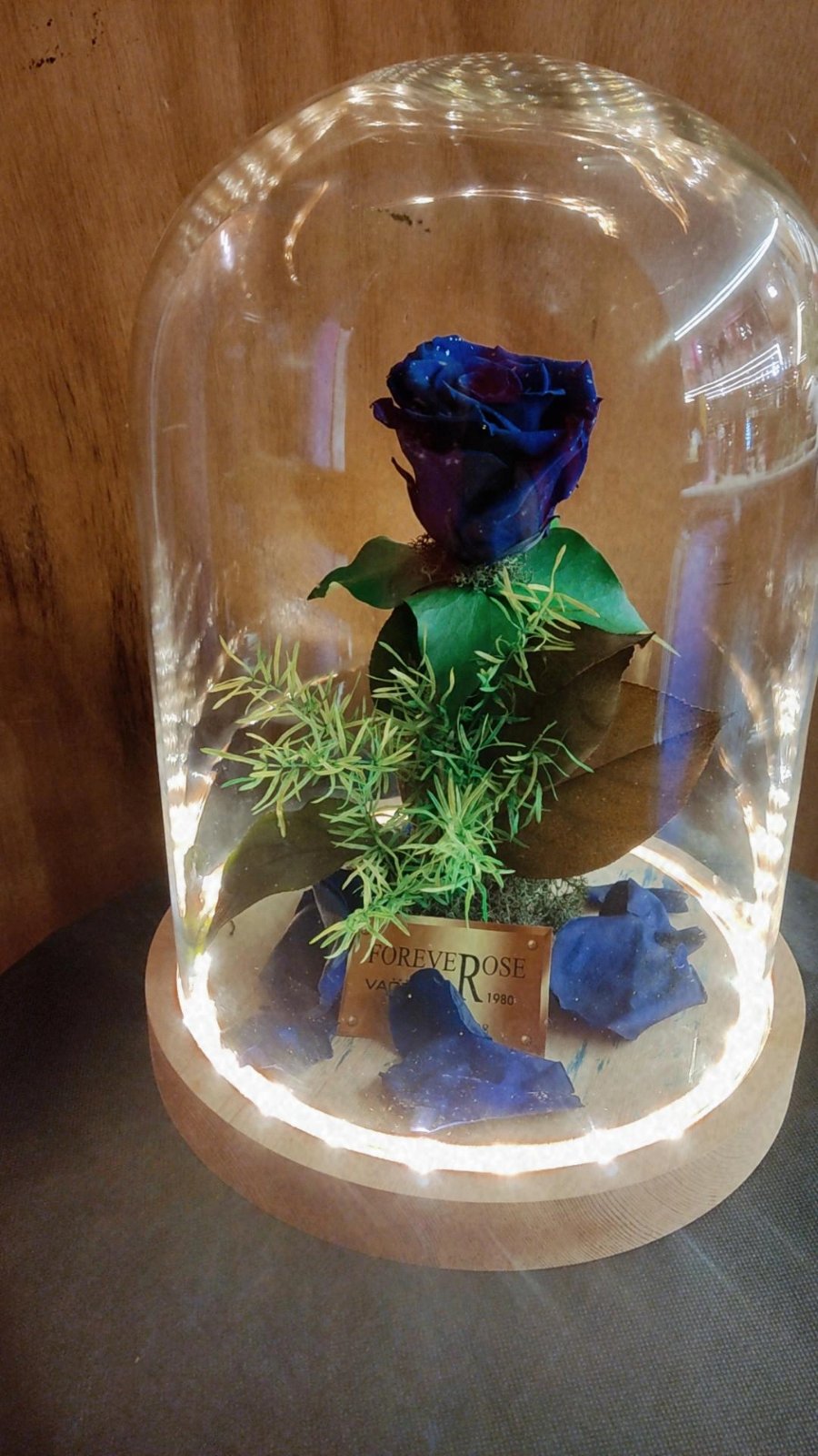 Forever Rose Blue Secret Led Edition