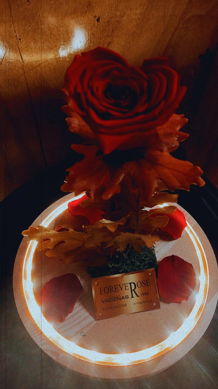 Forever Rose Red Heart Led Edition