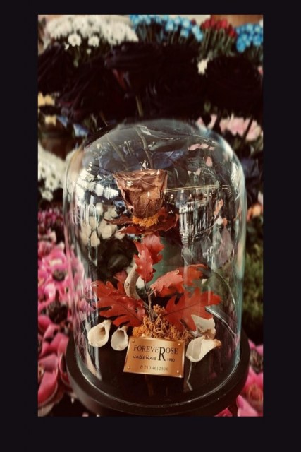 Forever Rose Copper