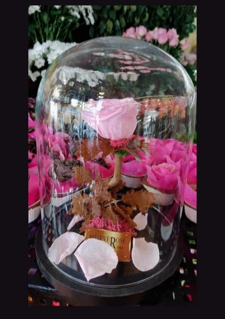 Forever Rose Ροζ 