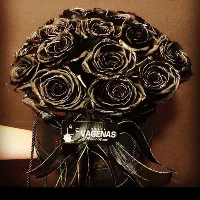 Black Gold Roses