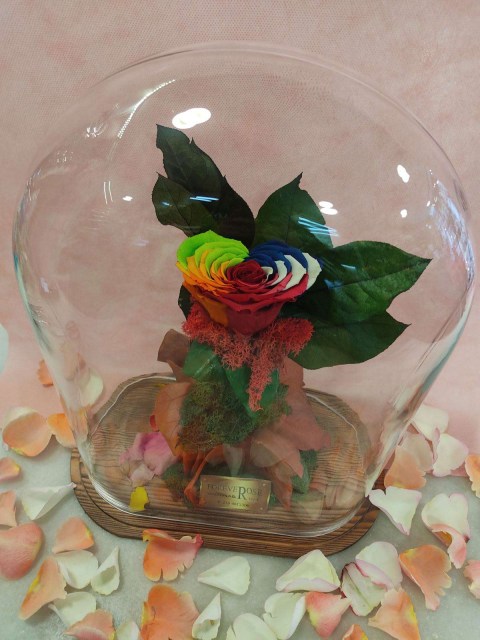 Forever Rose heart