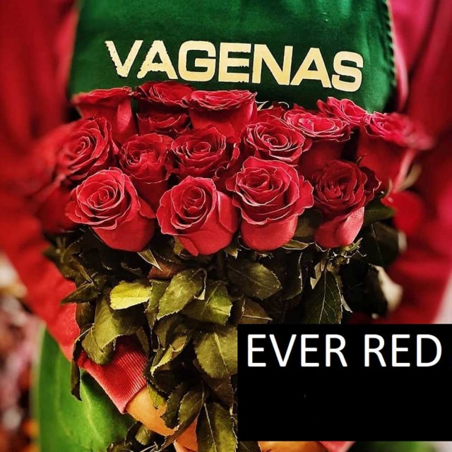Ever Red 80cm