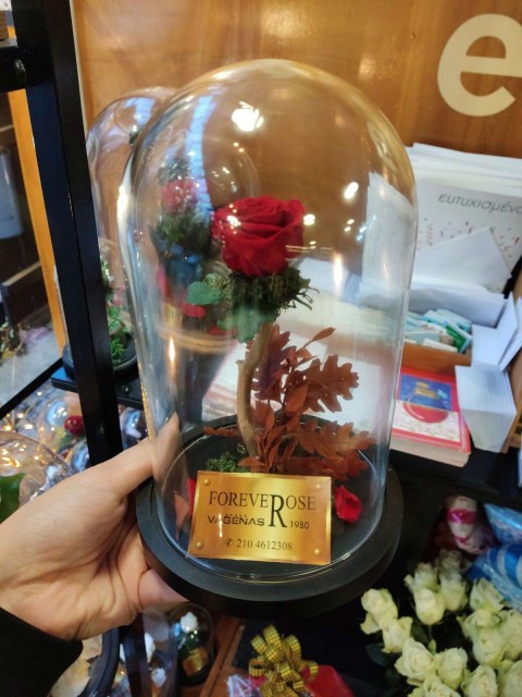 Forever Rose F1030
