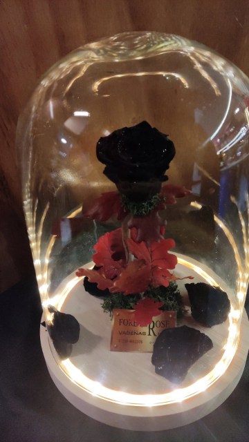Forever Rose Black Beauty Led Edition