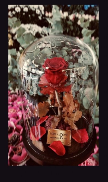 Forever Rose Κόκκινο