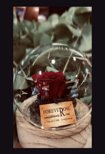 Smart Beauty Forever Rose