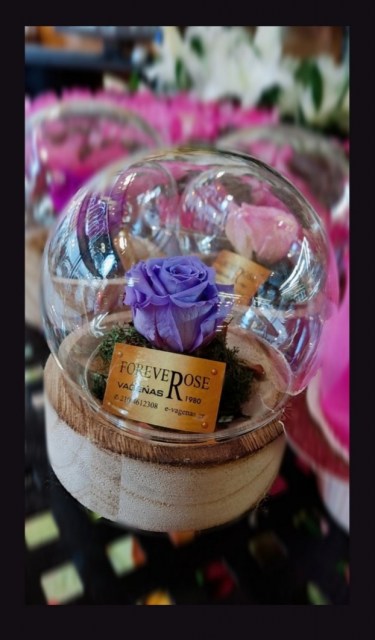 Smart Beauty Forever Rose