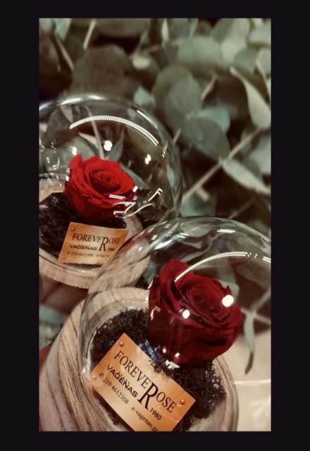 Smart Beauty Forever Rose