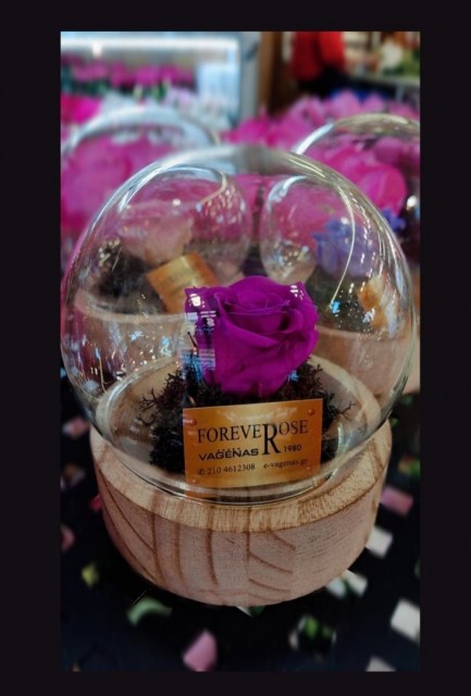 Smart Beauty Forever Rose