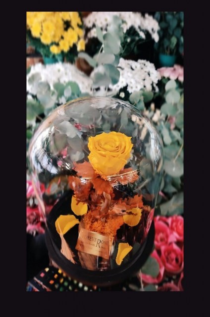 Forever Rose Κίτρινο