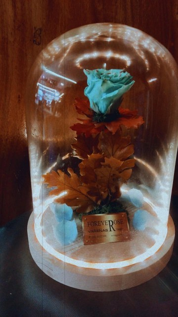 Forever Rose Galaxy Led Edition