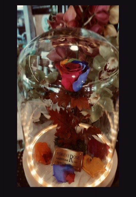 Forever Rose Rainbow Led
