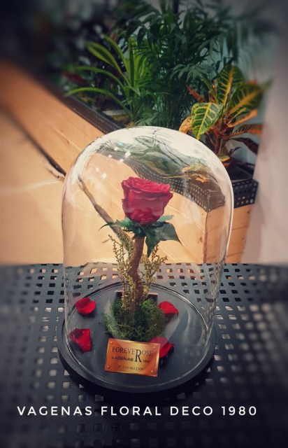 Forever Rose Ύψος 30cm - F1021